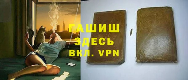 сатива Покачи