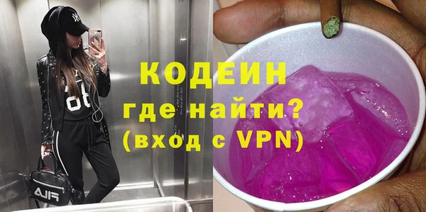 сатива Покачи