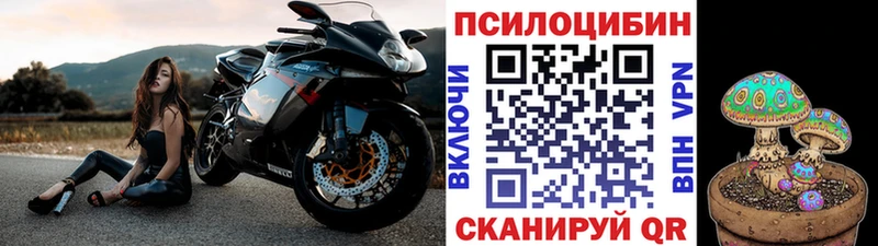 что такое   Усмань  Галлюциногенные грибы ЛСД 
