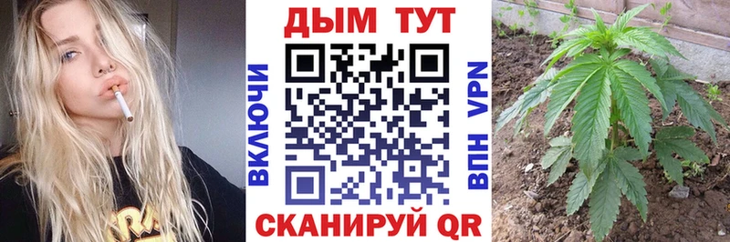 Каннабис OG Kush Усмань